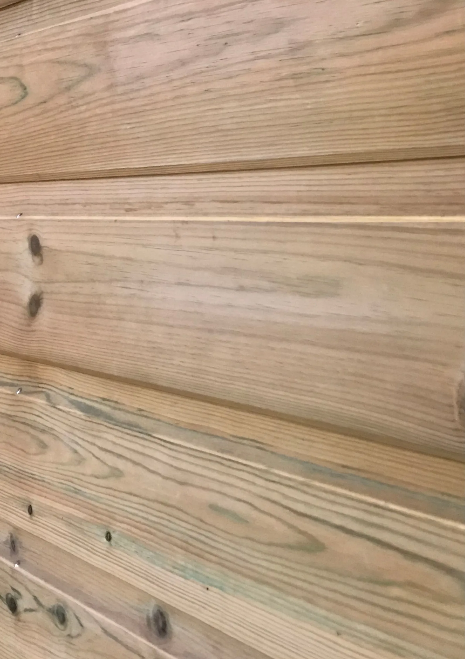 Clin - Pin sylvestre traité CL4