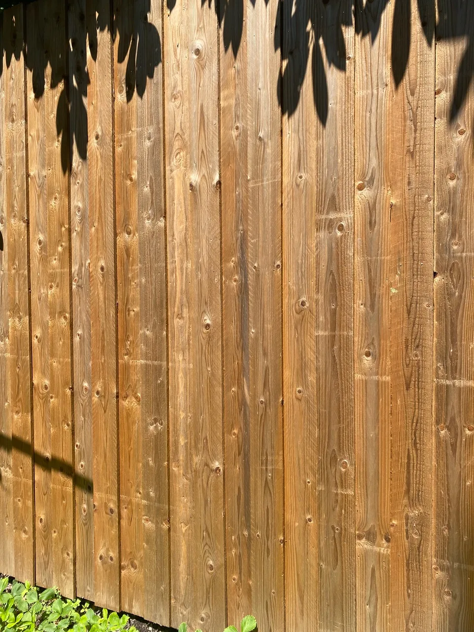 Volige - Epicéa traitée CL3